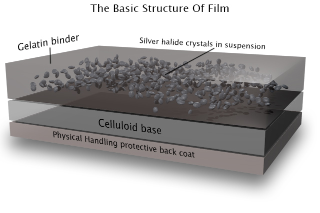 How Film Works - Neil Oseman